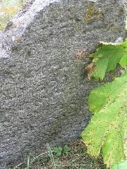 Tombstone 112_1212